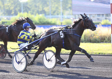 Hokkaido Jiel im Prix Jules Thibault (Foto: letrot.com) Hokkaido Jiel im Prix Jules Thibault (Foto: letrot.com)