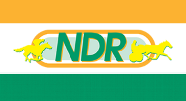 Neue Peitschenregeln in den Niederlanden Neue Peitschenregeln in den Niederlanden