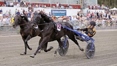 Gio Cash bezwingt erneut Don Fanucci Zet (Foto: travronden.se)