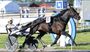 Stramm Richtung Derby: Önas Prince (Foto: travronden.se) Stramm Richtung Derby: Önas Prince (Foto: travronden.se)