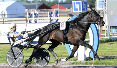 Stramm Richtung Derby: Önas Prince (Foto: travronden.se)