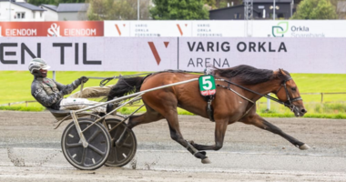 Klein und eigenwillig: Express Go (Foto: Trond Pedersen/HESTEGUIDEN)