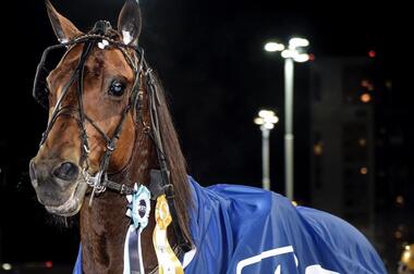 Hazard Boko im Bulwarks Lopp (Foto: Facebook Solvalla) Hazard Boko im Bulwarks Lopp (Foto: Facebook Solvalla)