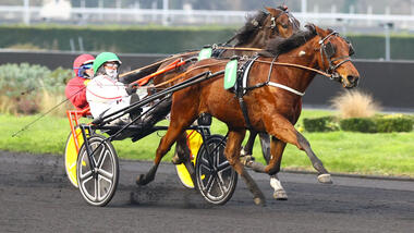 Inato Pierji im Prix de Brest (Foto: letrot.com) Inato Pierji im Prix de Brest (Foto: letrot.com)