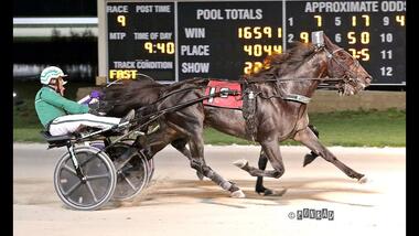 Back of the Neck beim Gewinn des Dayton Trotting Derby Stake Back of the Neck beim Gewinn des Dayton Trotting Derby Stake