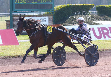 Farah des Caux sichert sich den GNT-Prolog (Foto: letrot.com) Farah des Caux sichert sich den GNT-Prolog (Foto: letrot.com)