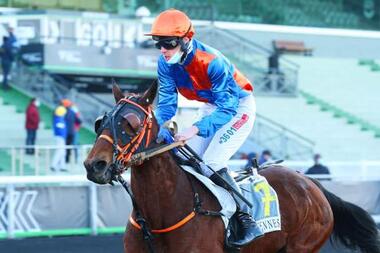 Gladys des Plaines im Prix Emile Riotteau (Foto: canalturf.com) Gladys des Plaines im Prix Emile Riotteau (Foto: canalturf.com)