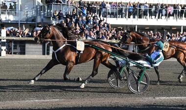 Who's Who im Paralympiatravet (Foto: Facebook Åbytravet) Who's Who im Paralympiatravet (Foto: Facebook Åbytravet)