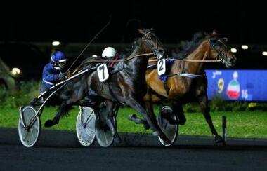 Payet (2) im Prix Themis knapp geschlagen (Foto: new.in-24.com) Payet (2) im Prix Themis knapp geschlagen (Foto: new.in-24.com)
