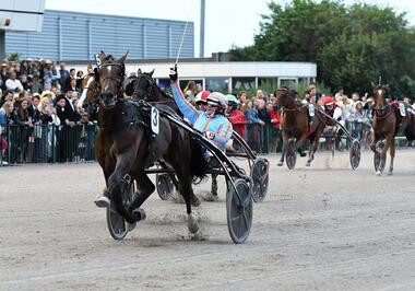 Feydeau Seven und Jos Verbeeck in Wolvega (Foto: letrot.com)