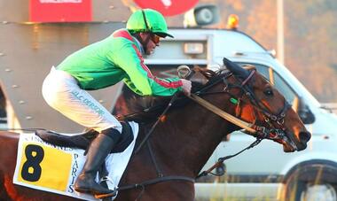 Hirondelle du Rib im Prix Olry-Roederer (Foto: paris-turf.com)