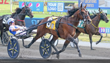 Periculum beim Sieg im John Cashman Memorial (Foto: Chris Tully)