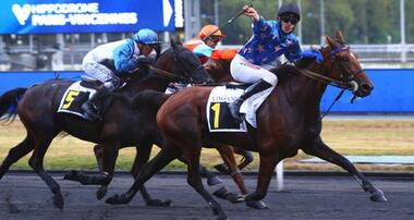Hilyrose d’Icelea im Prix Cénéri Forcinal (Foto: equidia.fr) Hilyrose d’Icelea im Prix Cénéri Forcinal (Foto: equidia.fr)