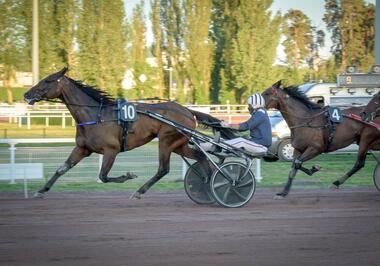 Elie de Beaufour in Vichy (Foto: letrot.com) Elie de Beaufour in Vichy (Foto: letrot.com)