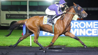 Granit Meslois im Prix de l’Île d’Oléron (Foto: letrot.com) Granit Meslois im Prix de l’Île d’Oléron (Foto: letrot.com)