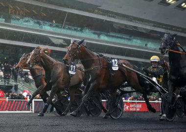 Monster-Finish im Prix du Bourbonnais 2023 (Foto: equidia.fr)