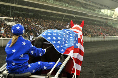 Prix d'Amérique - das Starterfeld