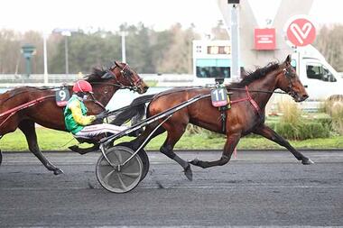 Davidson du Pont im Prix de Belgique (Foto: canalturf.com) Davidson du Pont im Prix de Belgique (Foto: canalturf.com)