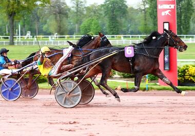 Vivid Wise As vor Etonnant (Foto: letrot.com)