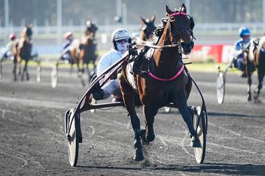 Diable de Vauvert im Prix de Paris (Foto: equidia.fr) Diable de Vauvert im Prix de Paris (Foto: equidia.fr)