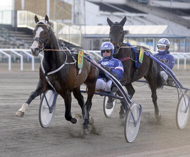 Racing Mange (Foto: lovgren.se)