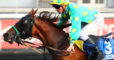 (Foto: equidia.fr)