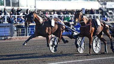 Gourmet d'Arc mit Robin Bakker im Vorlauf des Drottning Silvias Pokal (Foto: Travronden)