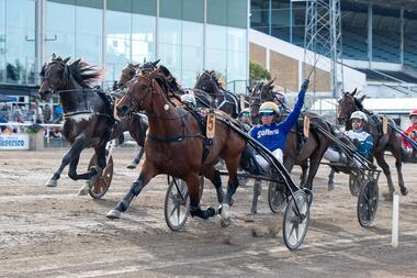 Fame and Glory mit Björn Goop im Svenskt Trav-Derby (Foto: Facebook Jägersro Trav)