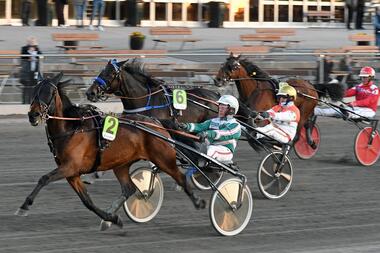 Sangria Pellini starke Zweite hinter Nova Mahiron (Facebook HalmstadTravet) Sangria Pellini starke Zweite hinter Nova Mahiron (Facebook HalmstadTravet)