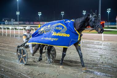 Eyeofthetiger in der schwedischen Zweijährigen-Breeders-Crown (Foto: Facebook Jägersro Trav) Eyeofthetiger in der schwedischen Zweijährigen-Breeders-Crown (Foto: Facebook Jägersro Trav)