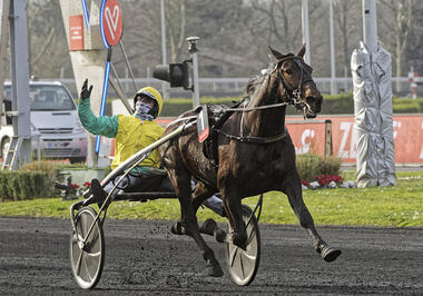 Vivid Wise As im Prix de France (Foto: letrot.com) Vivid Wise As im Prix de France (Foto: letrot.com)