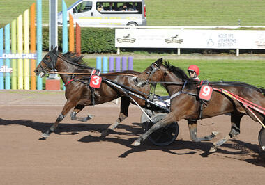 Bazire-Einlauf im 44. Grand Prix du Sud-Ouest (Foto: letrot.com)
