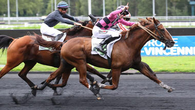 Fulton im Prix Camille Lepecq (Foto: letrot.com)