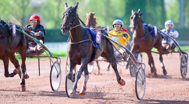 Earl Simon auf dem Weg zu alter Klasse (Archivfoto: letrot.com) Earl Simon auf dem Weg zu alter Klasse (Archivfoto: letrot.com)