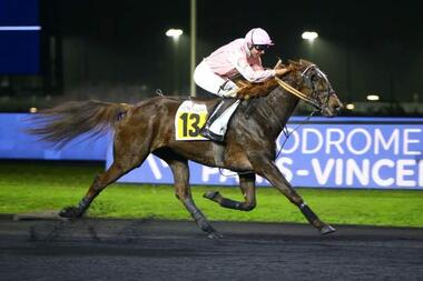 Diamant de Tréabat im Prix de l’Île d’Oléron (Foto: canalturf.com) Diamant de Tréabat im Prix de l’Île d’Oléron (Foto: canalturf.com)