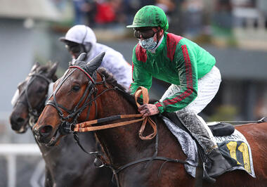 Hirondelle du Rib im Prix Emile Riotteau (Foto: letrot.com)