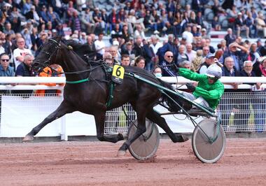Déesse Noire mit Pierre-Yves Verva in Laval (Foto: letrot.com) Déesse Noire mit Pierre-Yves Verva in Laval (Foto: letrot.com)