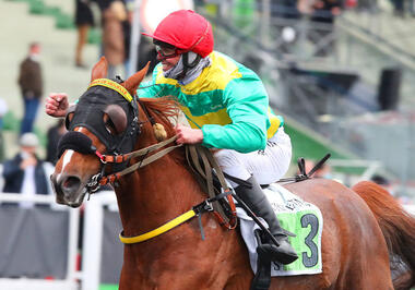 Freeman de Houëlle im Prix de l’Île de France (Foto: letrot.com) Freeman de Houëlle im Prix de l’Île de France (Foto: letrot.com)
