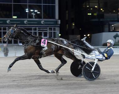 Snowstorm Hanover im The Onions Lopp (Foto: Facebook Solvalla) Snowstorm Hanover im The Onions Lopp (Foto: Facebook Solvalla)