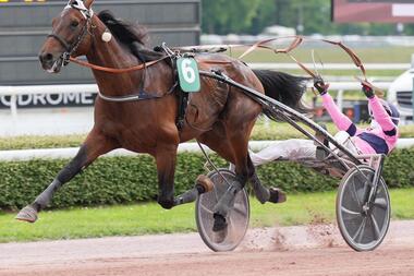 Wild, aber straffrei: Eric Raffin mit Ibiki de Houelle (Foto: paris-turf.com) Wild, aber straffrei: Eric Raffin mit Ibiki de Houelle (Foto: paris-turf.com)