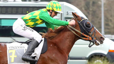 Wer folgt Joumba de Guez als Cornulier-Sieger? (Foto: Le Trot)