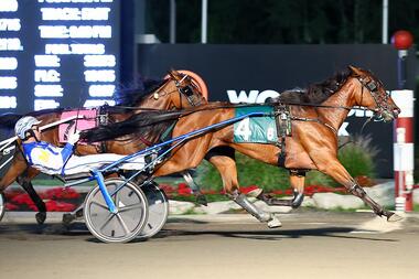 Adare Castle im Casual Breeze Trot (Foto: woodbine.com) Adare Castle im Casual Breeze Trot (Foto: woodbine.com)