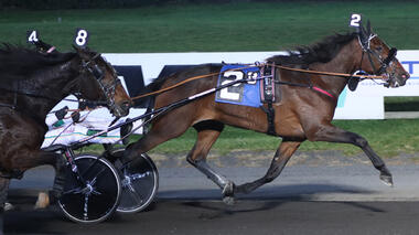 Soiree Hanover im 1. Vorlauf des Goldsmith Maid Trot (Foto: harnesslink.com)