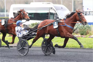 Go On Boy gewann den Prix de France im Vorjahr (Foto: Equidia)