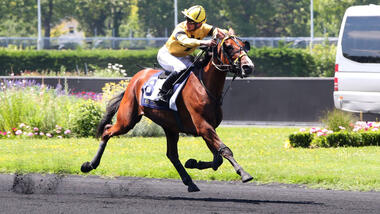 Lexie de Banville im Prix de Basly (Foto: letrot.com)