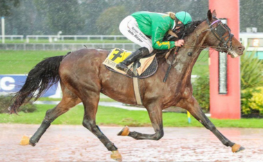 Teatox und Ronja Walter triumphieren im Regen von Enghien Teatox und Ronja Walter triumphieren im Regen von Enghien