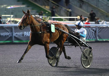 Stramm Richtung Amérique: Ampia Mede SM (Foto: letrot.com) Stramm Richtung Amérique: Ampia Mede SM (Foto: letrot.com)
