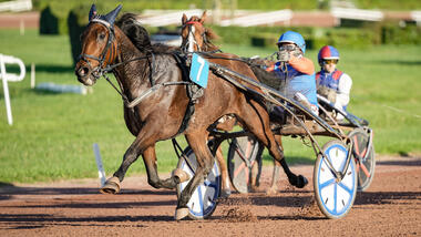 Emeraude de Bais im Grand Prix du Sud-Ouest (Foto: letrot.com)