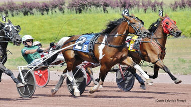 Jakarta Partygirl (Foto: standardbredcanada.ca) Jakarta Partygirl (Foto: standardbredcanada.ca)