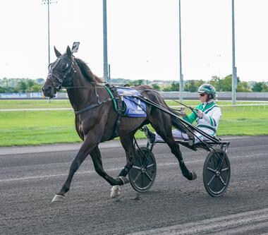 Auch in Frankreich begehrt: Tactical Landing